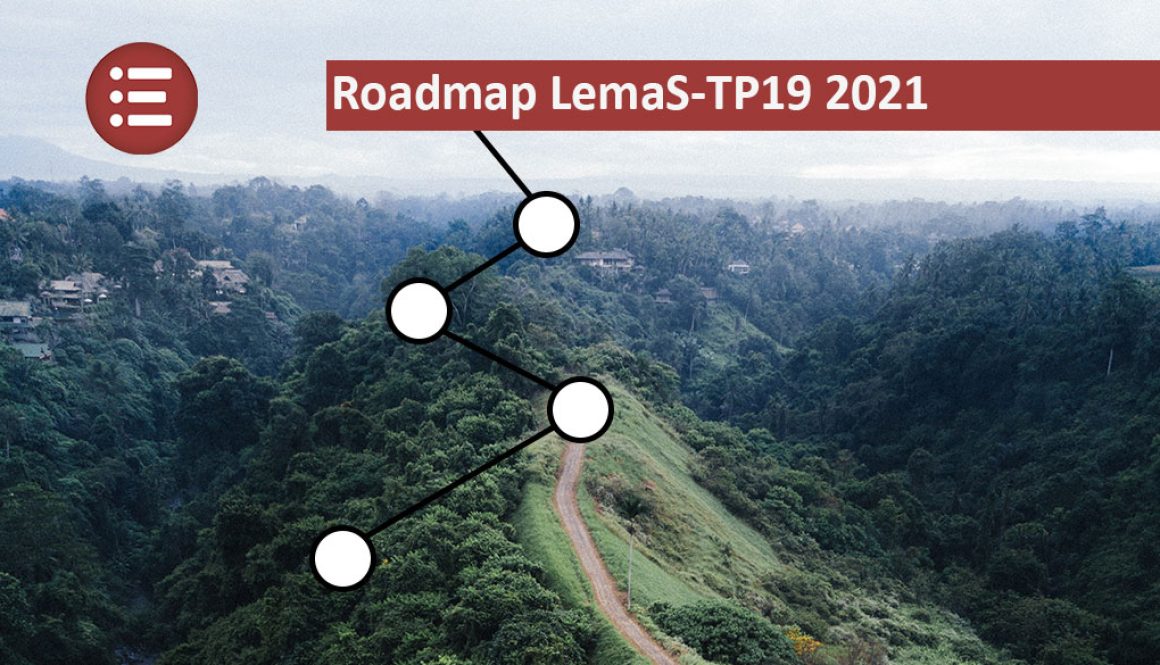 roadmap 2021 tp19 lemas personalisierte entwicklungspläne